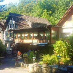 Фотографии гостиницы 
            Siegerland-Hotel Haus im Walde