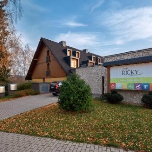 Фотография гостиницы Wellness hotel Říčky