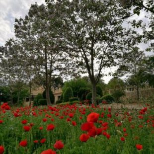 Фотография гостевого дома Finca La Celada