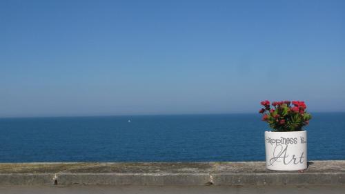 Фотография мини отеля Il Mulino di Amleto - Bed and Breakfast letterario