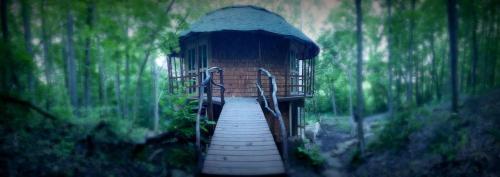 Фотографии хостела 
            Lost River Hostel