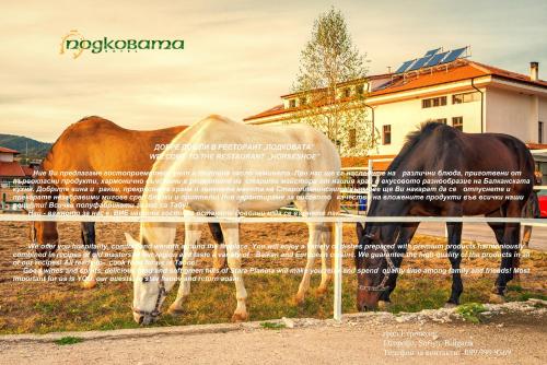 Фотография гостиницы Hotel Podkovata