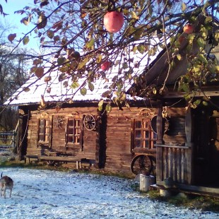 Фотография гостевого дома Усадьба Забродье