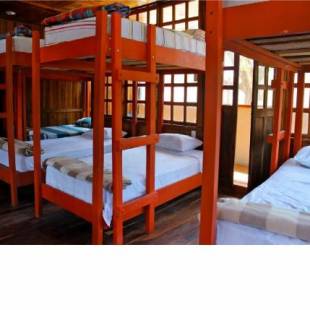 Фотографии хостела 
            Coral Reef Surf Hostel and Camp