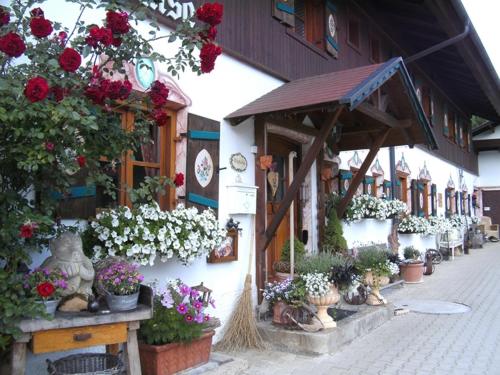 Фотография гостевого дома Pension Louise