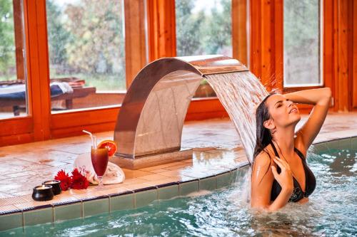 Фотография гостиницы Hotel Piroska