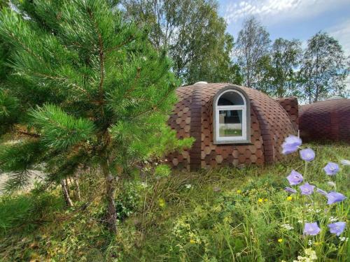 Фотография базы отдыха Тенгри