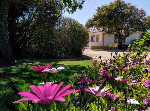 Фотография гостевого дома Casas das Amoreiras