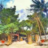 Фотография гостевого дома The MangoTree II Guesthouse