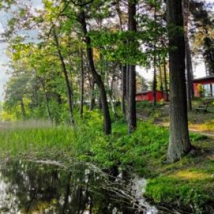 Фотография гостевого дома Ferienpark am Glubigsee