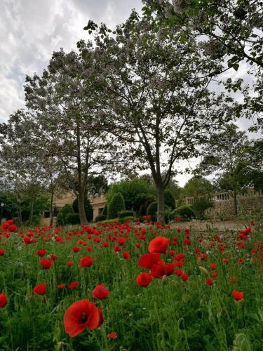 Фотографии гостевого дома 
            Finca La Celada