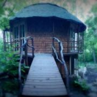 Фотография хостела Lost River Hostel