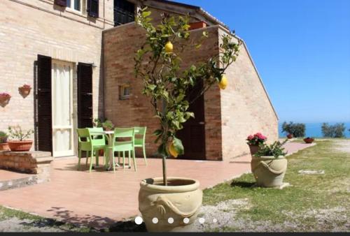 Фотография мини отеля La Collina sul Mare