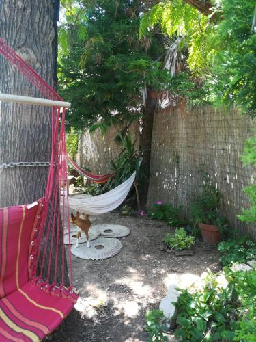 Фотография гостевого дома Secret Garden