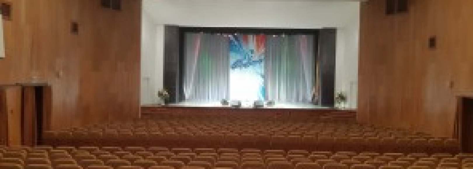 Фотография концертного зала Концертный зал ДК Строитель имени Д.Н. Мамлеева