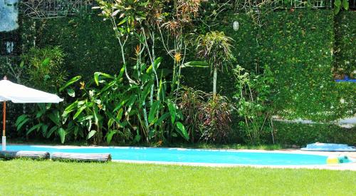 Фотография мини отеля Pousada Almaviva