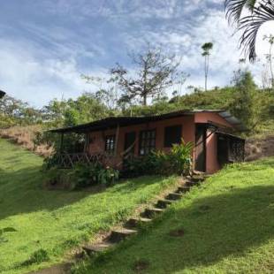 Фотографии кемпинга 
            Cabañas Colibrí Tayutic