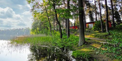 Фотографии гостевого дома 
            Ferienpark am Glubigsee