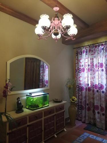 Фотография гостевого дома Guest House Casa Tacoronte