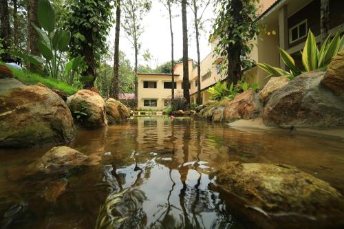 Фотографии гостиницы 
            LIVGRAND BISON RISE RESORT, Yercaud