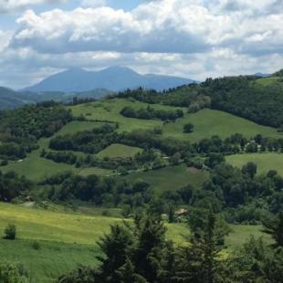 Фотография мини отеля Green B&B Urbino Cá del vento