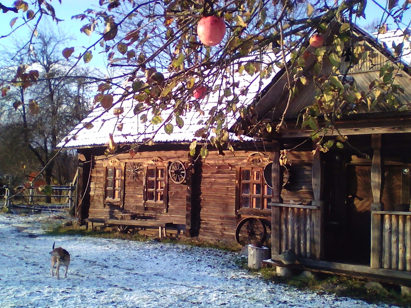 Фотография гостевого дома Усадьба Забродье