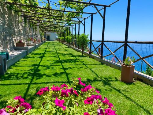 Фотографии гостевого дома 
            Amalfi coast sant alfonso