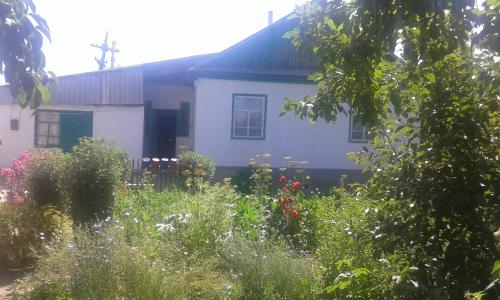 Фотография гостиницы Homestay at Elena's