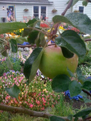 Фотография мини отеля Historic Skagway Inn