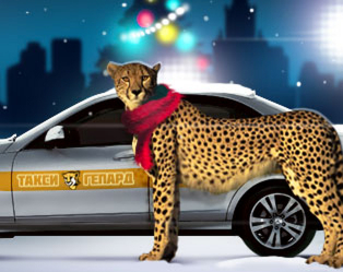 Фотография такси Гепард
