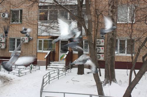 Фотография хостела Лен Инн Люкс