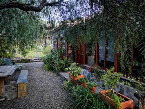 Фотография гостевого дома Finca Alda