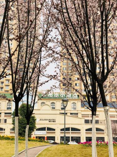 Фотография гостиницы Emei Mountain Xileer Hotel