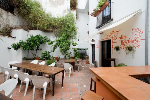 Фотографии хостела 
            Oasis Backpackers' Hostel Granada