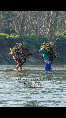 Фотографии гостиницы 
            Hotel Chitwan Park Village