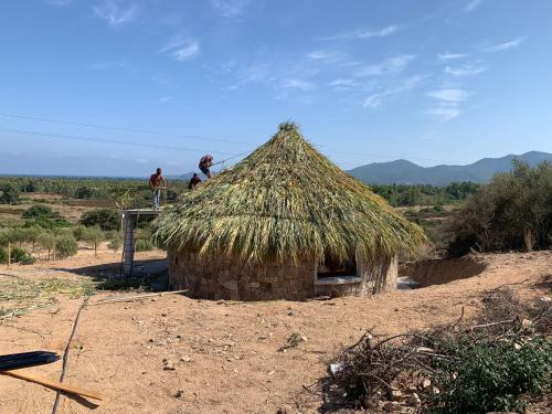 Фотография гостевого дома Agriturismo Dolceluna