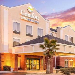 Фотографии гостиницы 
            Comfort Inn & Suites Statesboro - University Area