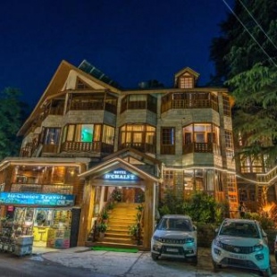 Фотография гостиницы D'Chalet Manali