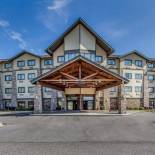 Фотография гостиницы Comfort Inn and Suites Near Lake Guntersville