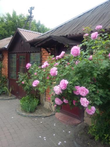 Фотография хостела 24