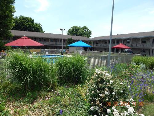 Фотография мотеля White Rose Motel