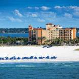 Фотография гостиницы Sheraton Sand Key Resort