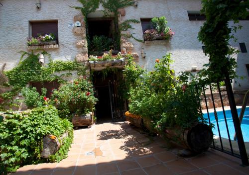 Фотографии гостевого дома 
            Casa Rural Capricho del Valle