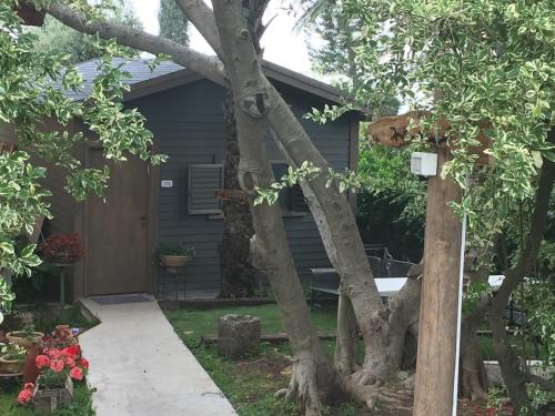 Фотография гостевого дома Hilltop Haven