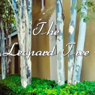 Фотографии мини отеля 
            The Leopard Tree