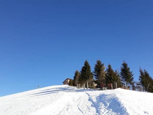 Фотография мини отеля Ca' Moretti