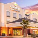 Фотография гостиницы Comfort Inn & Suites Statesboro - University Area