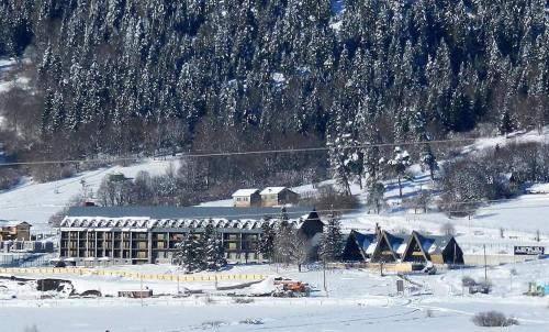 Фотография гостиницы Panorama Mgzavrebi in Bakuriani #27