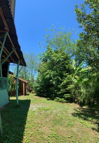 Фотографии гостевого дома
Wooden House Tsikhisdziri