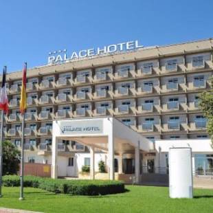 Фотографии гостиницы 
            Palace Hotel Zingonia